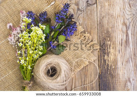 Flowering ground cover plants on wooden background. Studio Photo