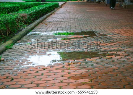 Water on sidewalk