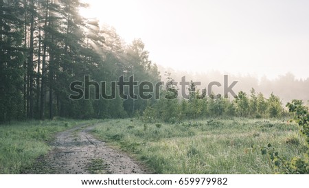 empty road in the countryside with forest in surrounding. perspective in summer with mist and green trees - vintage effect look