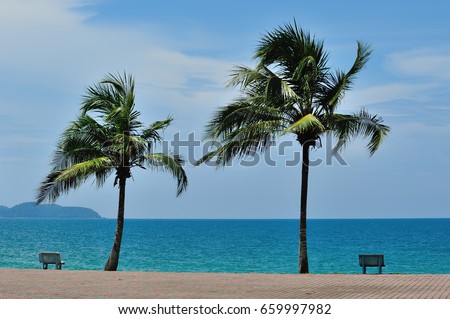 coconut trees over the ocean cement chair with a peaceful place watching the sunrise.(selective focus), located at Kelulut Beach, Marang Terengganu, Malaysia.