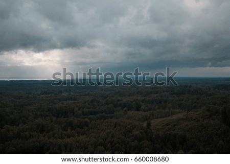 
Clouds and fog over pine tree forest.
Panoramic view of misty forest and far horizon with light rays