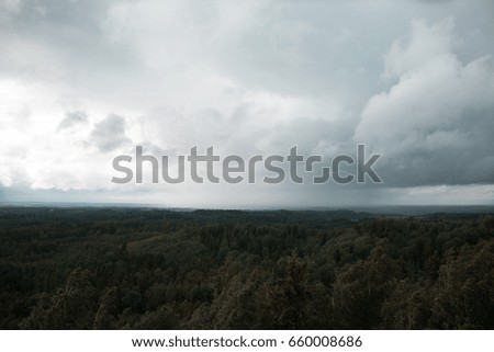 Clouds and fog over pine tree forest.
Panoramic view of misty forest and far horizon with light rays 