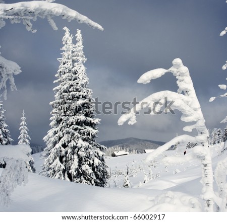 Trees covered with hoarfrost and snow in mountains. Mountain house