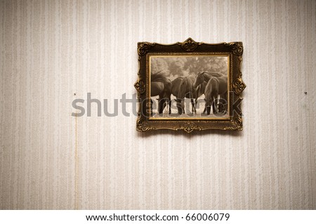 Old ornamented frame on retro grunge wall with the picture of horses in sepia