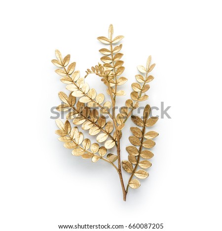 golden leaf design elements. Decoration elements for invitation, wedding cards, valentines day, greeting cards. Isolated on white background. Royalty-Free Stock Photo #660087205