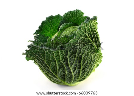 fresh, raw savoy cabbage on a white background