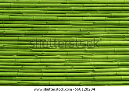 Green bamboo fence background and texture Royalty-Free Stock Photo #660128284
