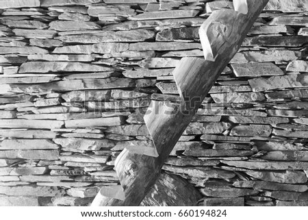 Traditional log ladder in Shatili