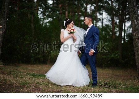 Beautiful young wedding couple admiring each other in a pine tree forest. 