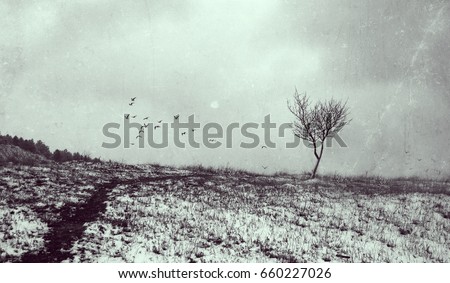 Lonely tree in aged textured art background. Depression and melancholy mood. Abstract loneliness and sadness. Flying birds on horizon Royalty-Free Stock Photo #660227026
