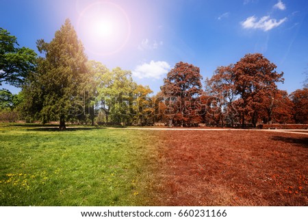 Autumn and summer park at sunny day Royalty-Free Stock Photo #660231166