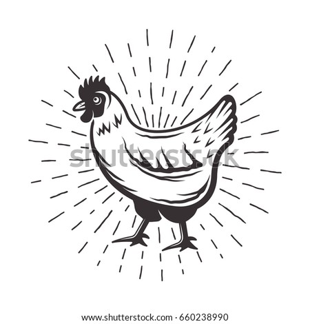 Chicken with sunbursts rays vector monochrome illustration in retro style isolated on white background