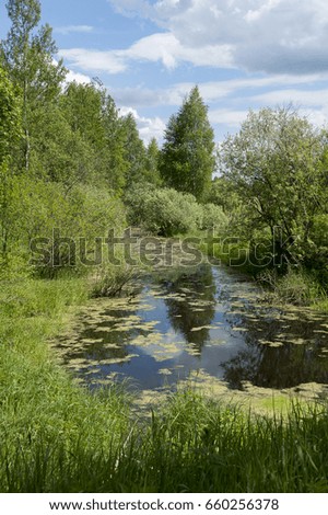 Pond in the forest, Russia