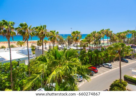 Beautiful tropical nature view of the street by the ocean with sunny palms and sandy beach.