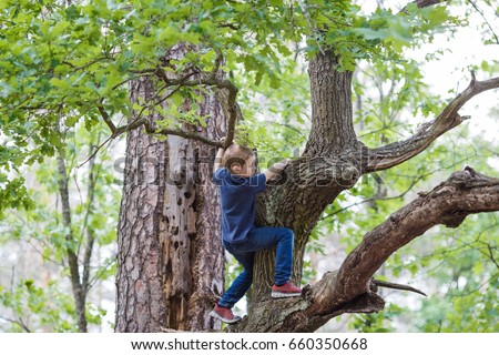 8 years old boy climbing high tree in the forrest. People concept - Overcoming the fear of heights Royalty-Free Stock Photo #660350668