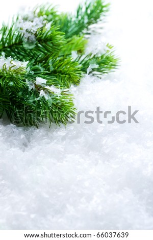 Christmas Tree over Snow.Winter Background