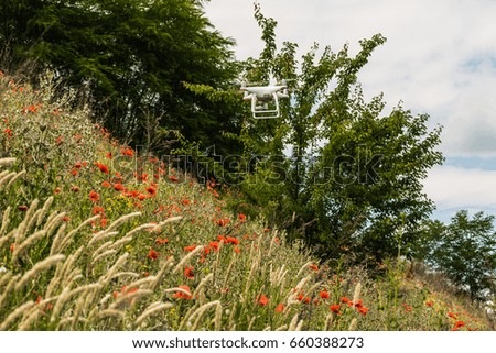 flying quadcopter over the field of red poppies and wildflowers