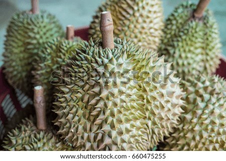 Durians in fruit market at  north of Thailand