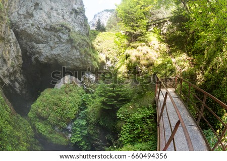 Entrance (climb) into the huge Devil's Throat cave in the Rhodope Mountains, abundantly overgrown with deciduous and evergreen forest (Trigradskoto Zhdrelo, Bulgaria)
