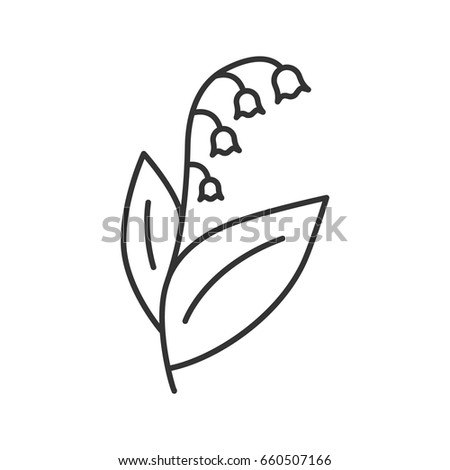 Lily of the valley, may-lily linear icon. Garden spring flower thin line illustration. Contour symbol. Flowering plant. Vector isolated outline drawing
