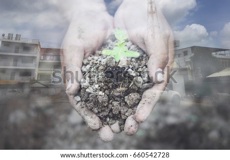 Small plants in the soil are held in human hands with dirt. The background is a building picture.By making a picture double expourse
