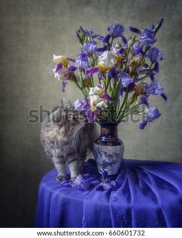 Cat and bouquet of irises