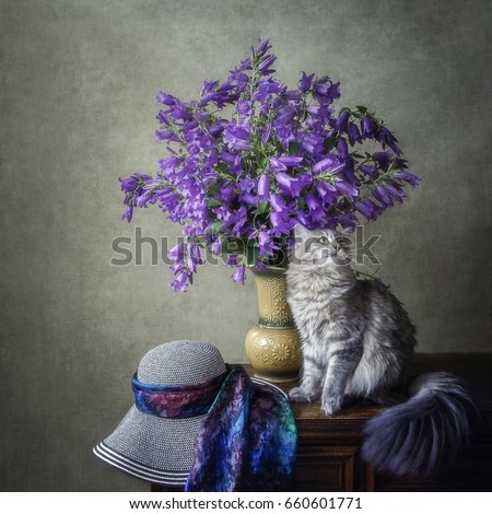 Cat and hat

