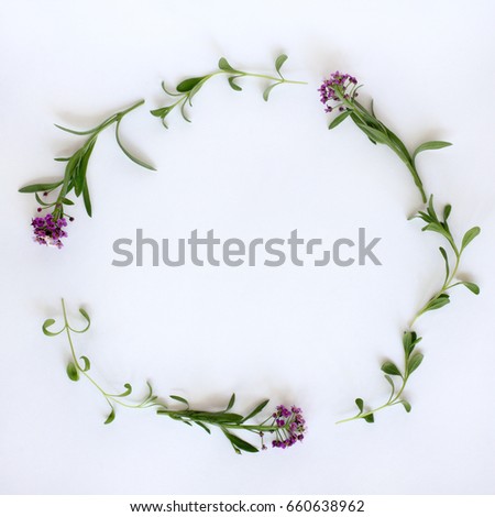 Flat layout of leaves of lavender and flowers Alyssum top view / round festive frame