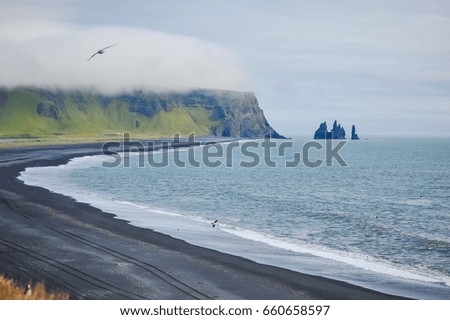 beautiful seascape of iceland