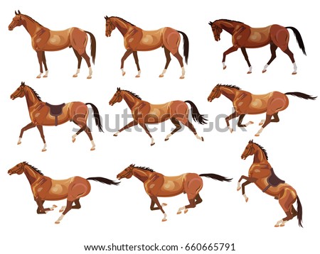 Collection of vector illustrations with horses. Standing, walking, trotting, galloping, rearing horses.