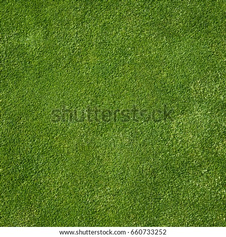 Top view of golf course green as a background
