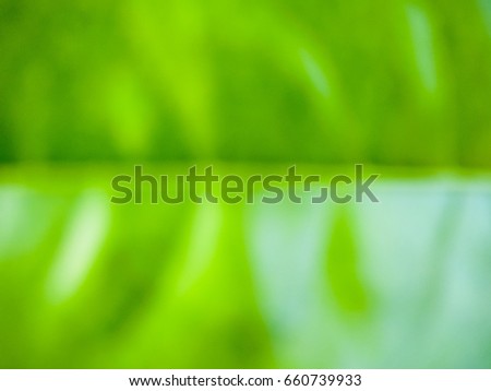 blurry green leaf abstract nature light background.