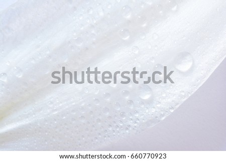 Water drops on a white flower
