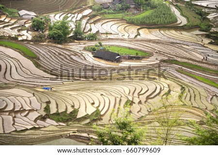 Beautiful picture of terraced rice fields in a spilling water season in the northwestern part of Lao Cai province, Vietnam