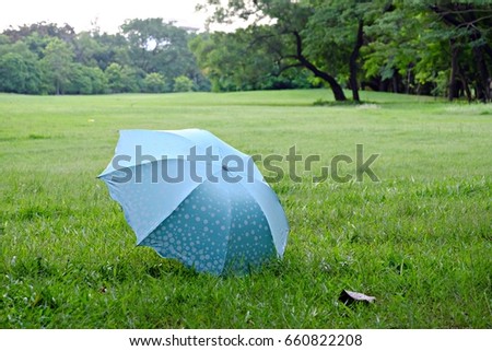 The Blue Umbrella On The Green Grass At The Park With Green Field And Nature Background