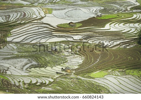 Beautiful picture of terraced rice fields in a spilling water season in the northwestern part of Lao Cai province, Vietnam