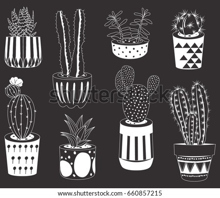Chalkboard Cactus Collections
