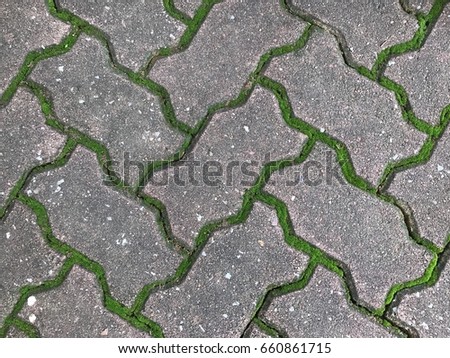 Brick worm textures