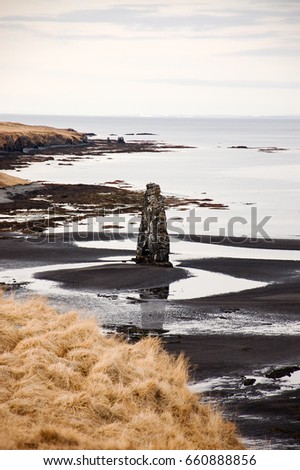 Hvitserkur, dinosaur of Iceland, troll rock formation, dragon drinking, basalt sea stack off shore during low tide on black sand, mud, fjord backdrop, dry grass foreground on bright sky in high view