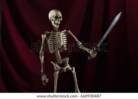 Skeleton with sword and red velvet