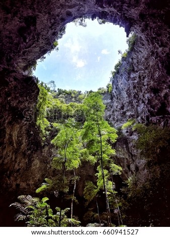 Trees in cave. Picture in prehistory and mysterious concept.