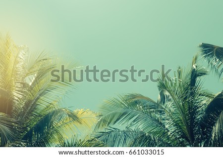 Copy space of palm tree on sky background. Vintage tone filter color style. 