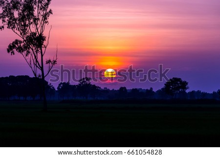 sun with dramatic sky on dark background.sunset over rice field in Thailand
