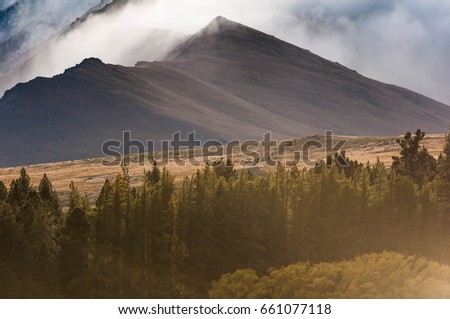 The Golden Morning Light Shining onto the Pine Tree Forest with the Misty Southern Alps in the Background, Lake Tekapo, South of New Zealand