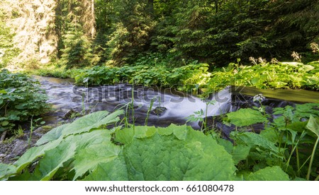 Beautiful waterfall in the forests of the Carpathians