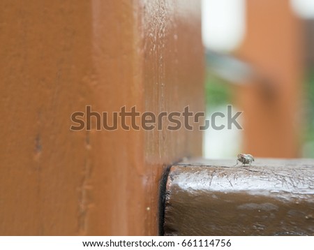 Blur background of a fly in the playground , contagious