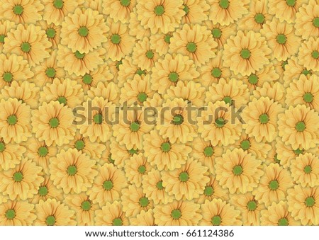 Big beautiful background of yellow daisy flower on table