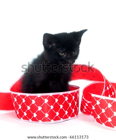 Black kitten sitting with red ribbon and heart pattern on white background