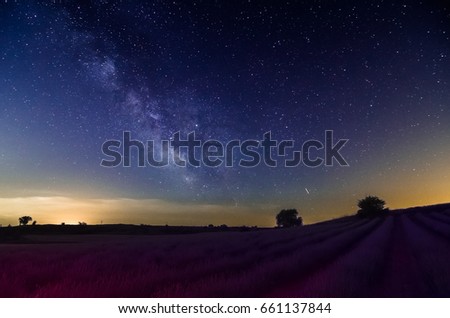 Milky Way over lavender fields, Brihuega, Guadalajara, Spain