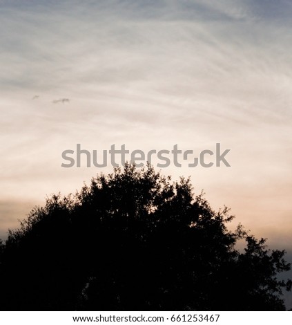 Photograph of Clouds, Rain and Sky with Sunlight and Trees